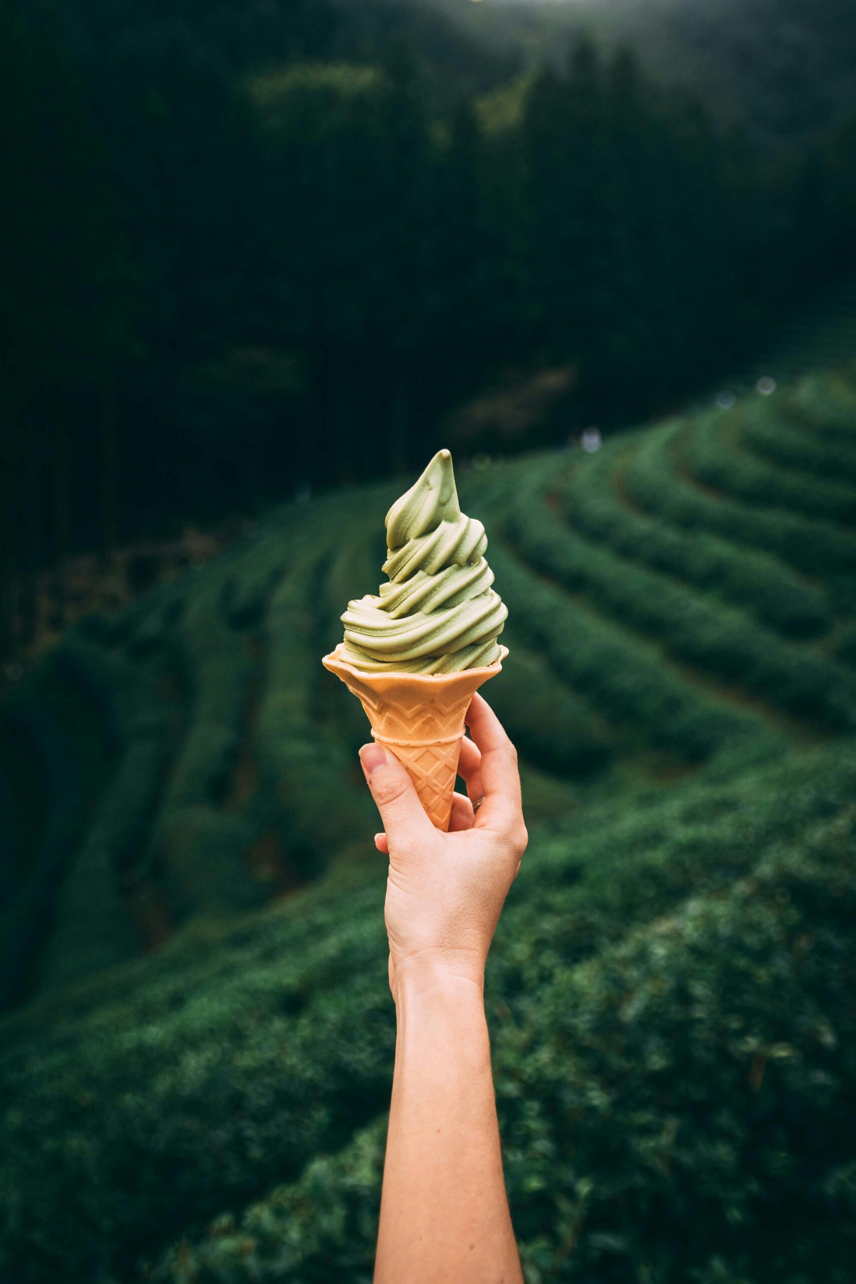 Matcha Soft Serve